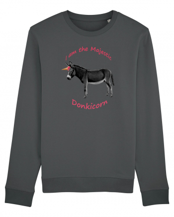 A Donkicorn Anthracite