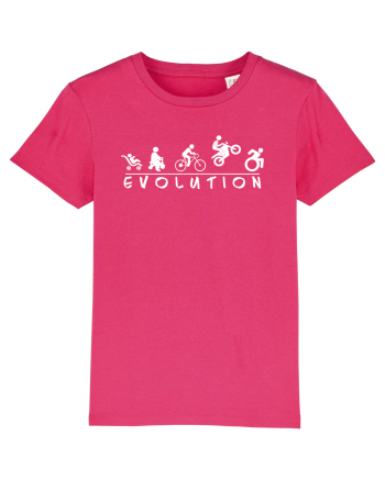Evolution Funny Raspberry