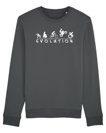 Evolution Funny Anthracite