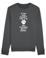 If our dog doesn't like you Bluză mânecă lungă Unisex Rise