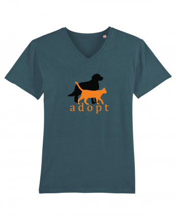 Adopt Stargazer