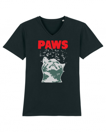 PAWS CAT Black