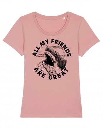 All my friends are great Canyon Pink