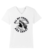 All my friends are great Tricou mânecă scurtă guler V Bărbat Presenter