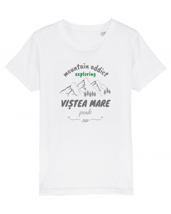 Mountain Addict Viștea Mare Peak White