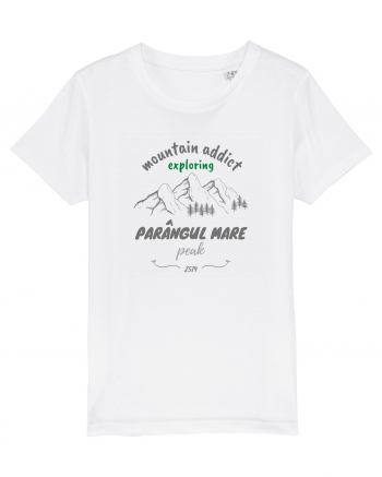 Mountain Addict Parângul Mare Peak White