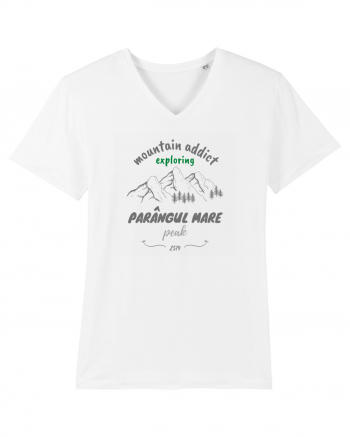Mountain Addict Parângul Mare Peak White
