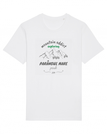 Mountain Addict Parângul Mare Peak White