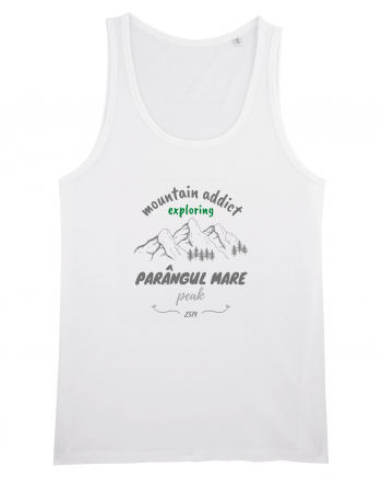 Mountain Addict Parângul Mare Peak White