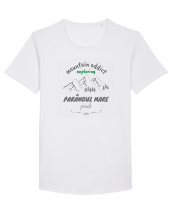 Mountain Addict Parângul Mare Peak White