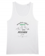 Mountain Addict Peleaga Peak Maiou Bărbat Runs