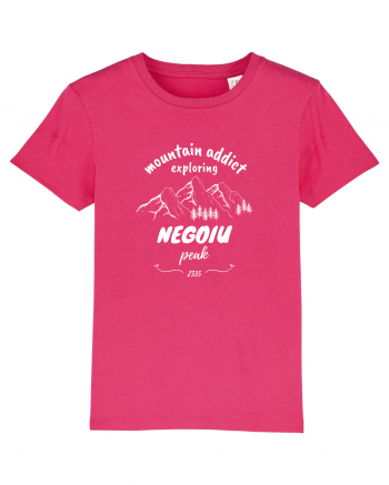 Mountain Addict Negoiu Peak (Vârful Negoiu)  Raspberry