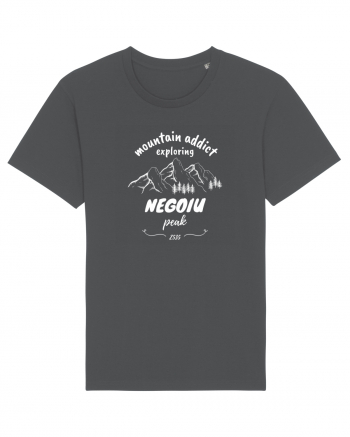 Mountain Addict Negoiu Peak (Vârful Negoiu)  Anthracite