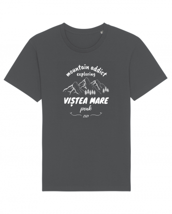 Mountain Addict Viștea Mare Peak (Vârful Viștea Mare)  Anthracite
