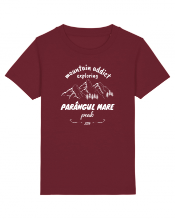 Mountain Addict Parângul Mare Peak (Vârful Parângul Mare)  Burgundy