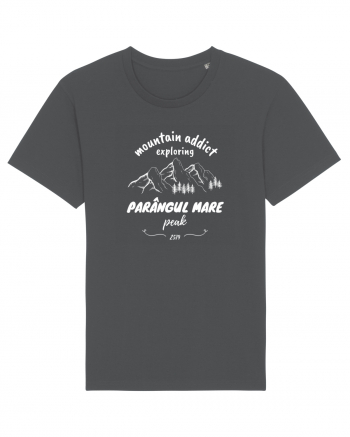 Mountain Addict Parângul Mare Peak (Vârful Parângul Mare)  Anthracite