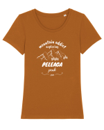Mountain Addict Peleaga Peak (Vârful Peleaga)  Tricou mânecă scurtă guler larg fitted Damă Expresser