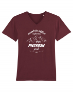 Mountain Addict Pietrosu Peak (Vârful Pietrosu)  Tricou mânecă scurtă guler V Bărbat Presenter