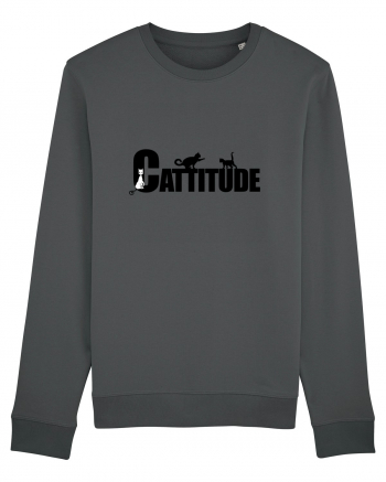 Cattitude Anthracite