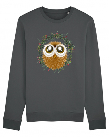 Little owl Anthracite
