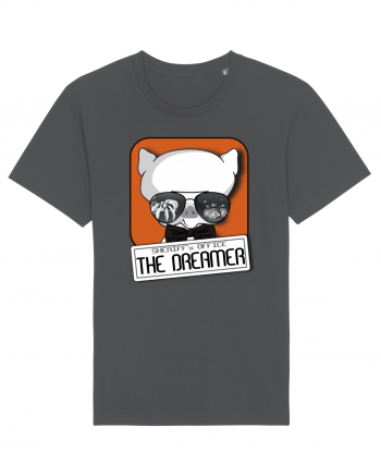 The dreamer Anthracite