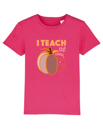 Tricou de profesor Raspberry