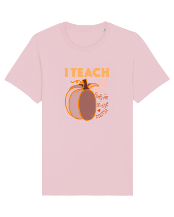 Tricou de profesor Cotton Pink
