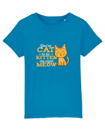 Cat Kitten Meow Azur