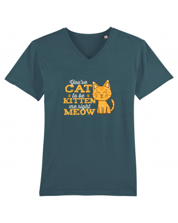 Cat Kitten Meow Stargazer