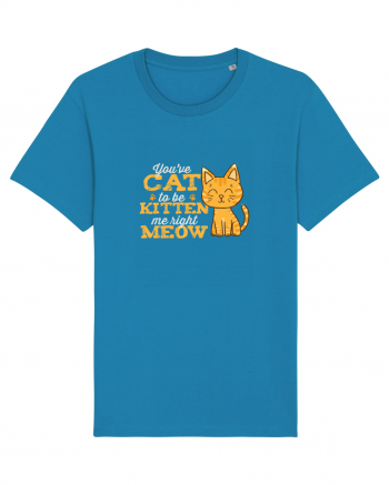 Cat Kitten Meow Azur