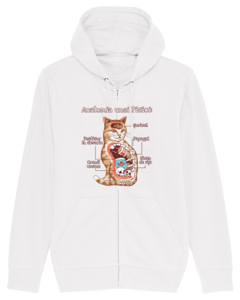 Anatomia unei pisici White