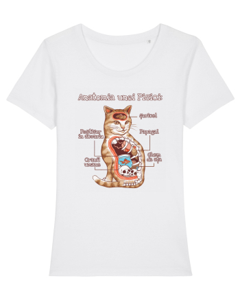 Anatomia unei pisici White