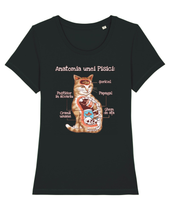 Anatomia unei pisici Black