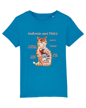 Anatomia unei pisici Azur