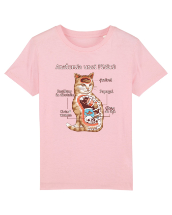 Anatomia unei pisici Cotton Pink