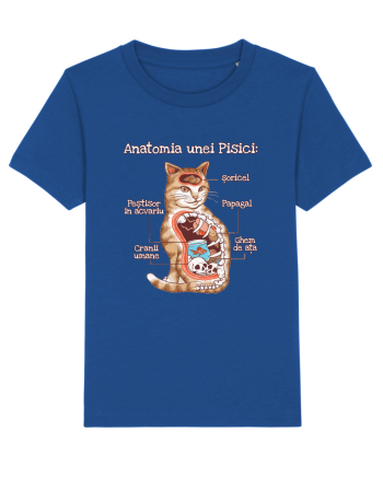 Anatomia unei pisici Majorelle Blue