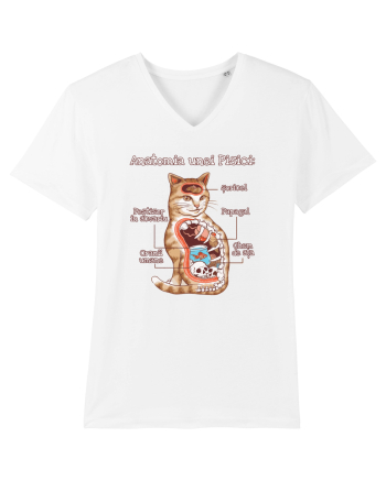 Anatomia unei pisici White