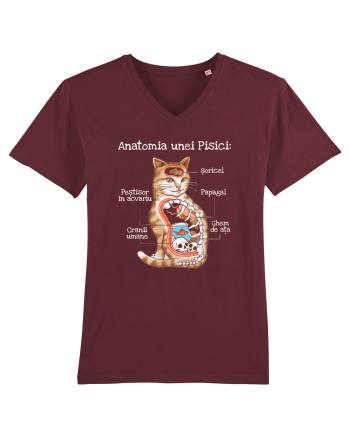 Anatomia unei pisici Burgundy