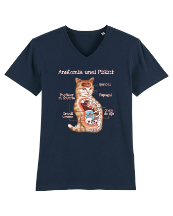 Anatomia unei pisici French Navy
