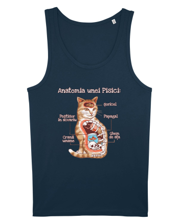 Anatomia unei pisici Navy