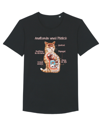 Anatomia unei pisici Black