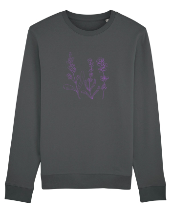Lavanda Mov Anthracite