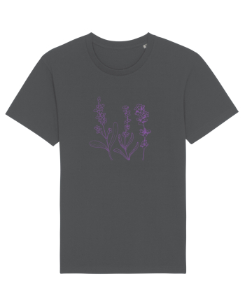 Lavanda Mov Anthracite