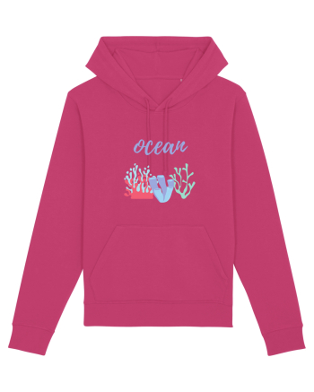 Fundul Oceanului Raspberry