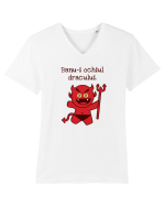 Banu-i ochiul dracului. Tricou mânecă scurtă guler V Bărbat Presenter