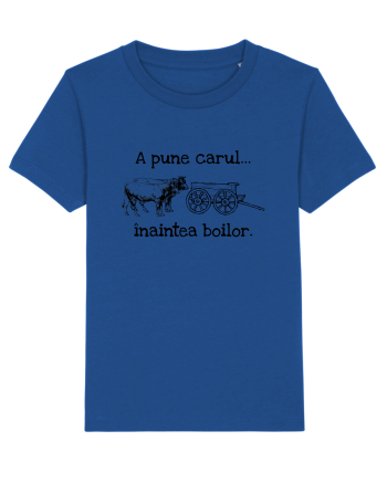 A pune carul inaintea boilor. Majorelle Blue