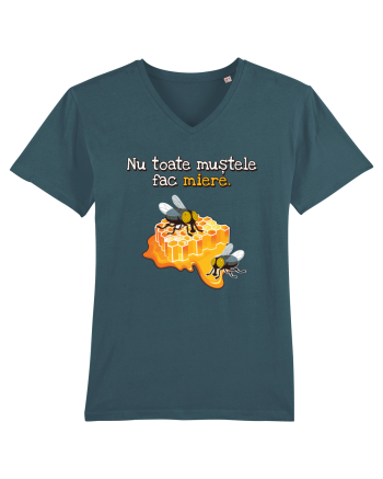 Nu toate mustele fac miere. Stargazer
