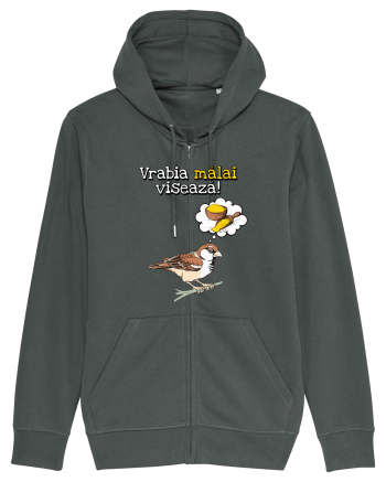 Vrabia malai viseaza! Anthracite