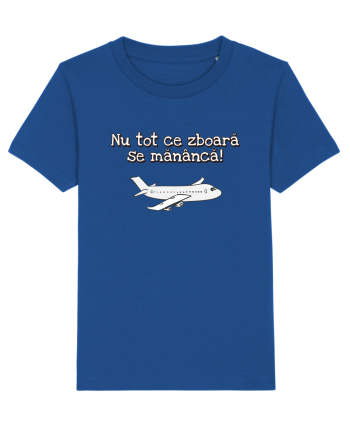 Nu tot ce zboara se mananca! Majorelle Blue