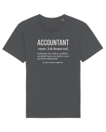 Accountant Tricou mânecă scurtă Unisex Rocker